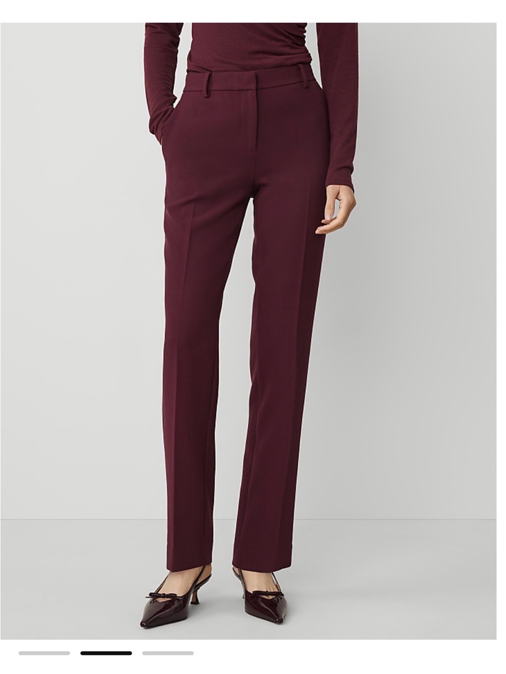 Ann Taylor Straight-Leg Tailored Pants in Burgundy Wine
